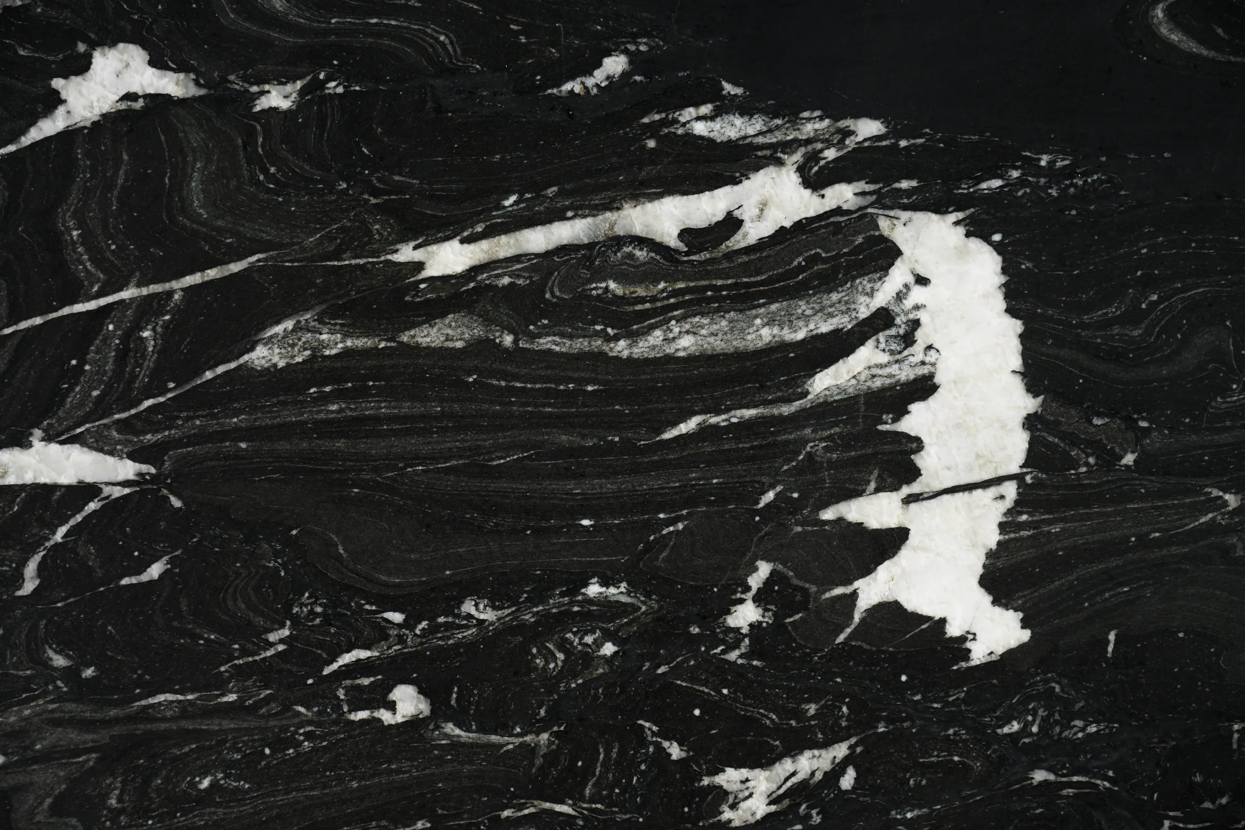 Black Horse