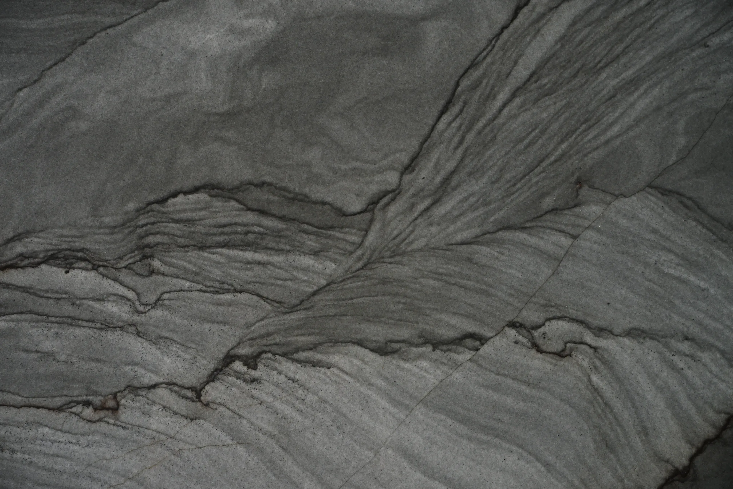 Carbono