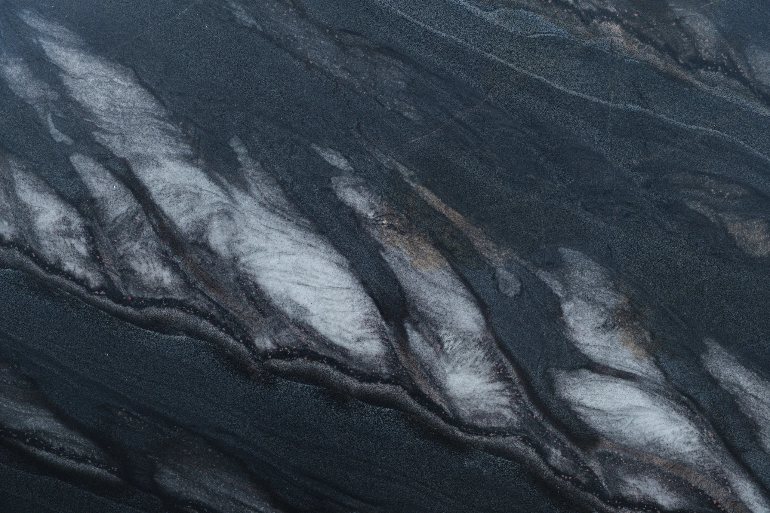 Dark Forest