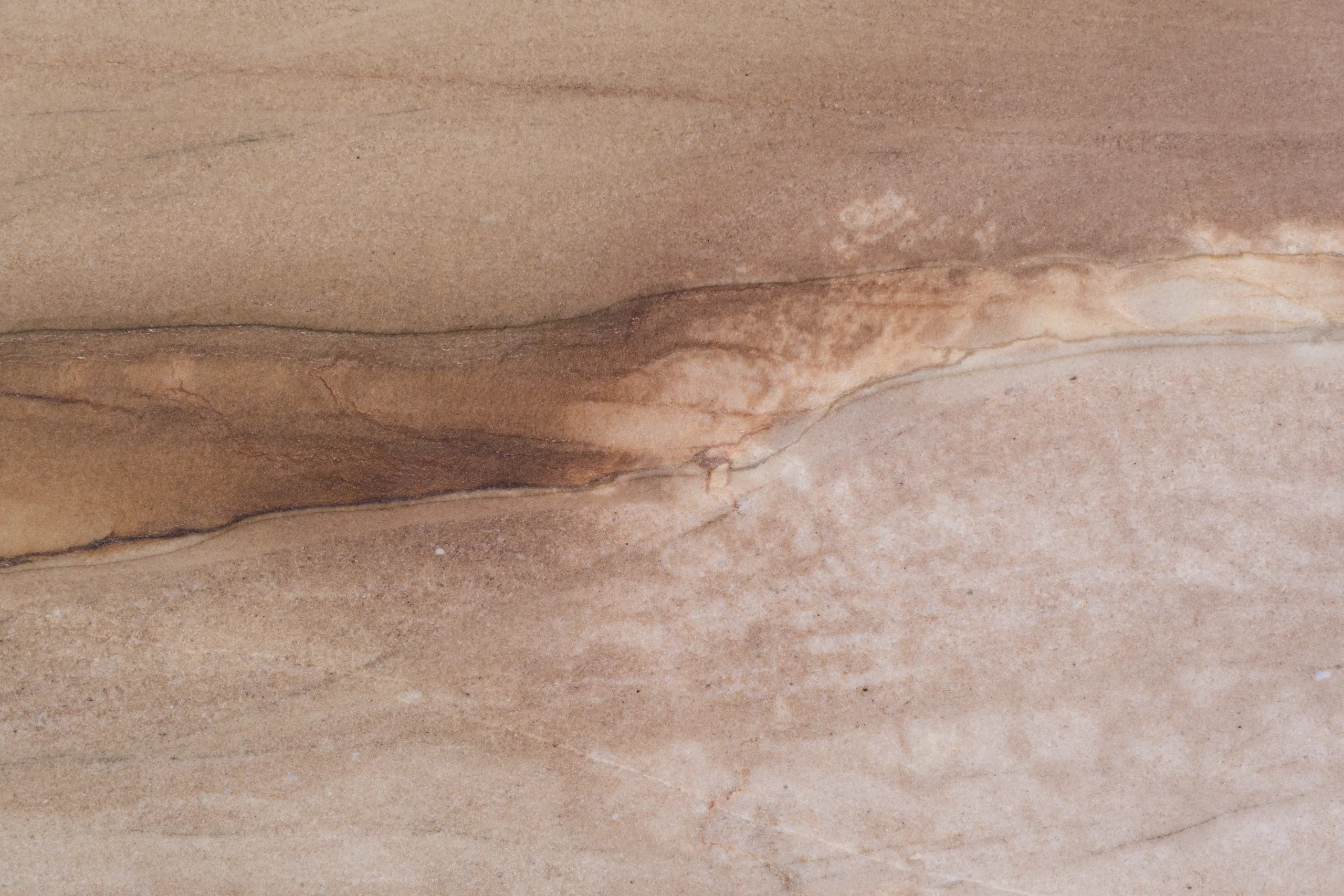 Loreto — detalle de veta